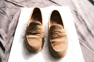 Alden N5204 스웨이드 로퍼 8D