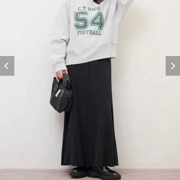 JOURNAL STANDARD relume 피브릴 패널 스커트