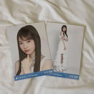 노기자카46 야타 모에카 브로마이드