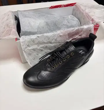 드래곤 비어드 DRAGONBEARD