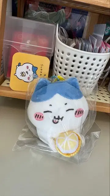 [새상품] 치이카와 SUPPA 마스코트 하치와레