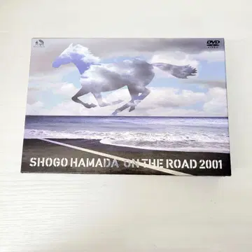 17 SHOGO HAMADA ON THE ROAD 2001