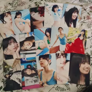 이오키 마오 짱