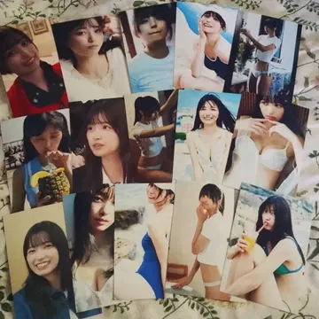 이오키 마오 짱