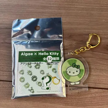 헬로키티 아크릴 키링 Algae 콜라보