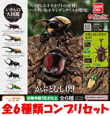 생물대도감 사슴벌레09 전6종 네이비리셋 [ 새상품 ] 가챠