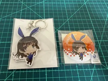 어떤 과학의 초전자포 사텐 루이코 아크릴 키링, 캔뱃지 세트