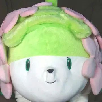 포켓몬 센터 20주년 기념 몰캉몰캉 봉제 인형 쉐이미 무료배송