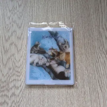 와치필드 프로스트 거울