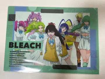 BLEACH 백사 여자 클리어 파일