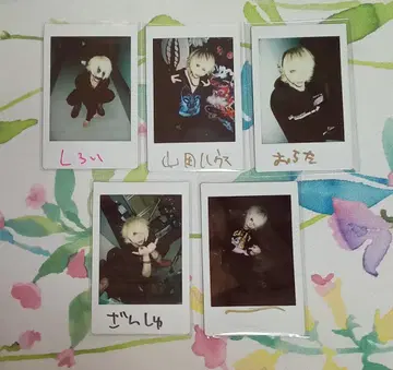 아이사쿠 폴라로이드