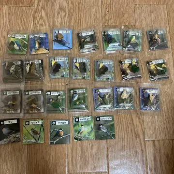 새 피규어 세트 27종류 카드 5개