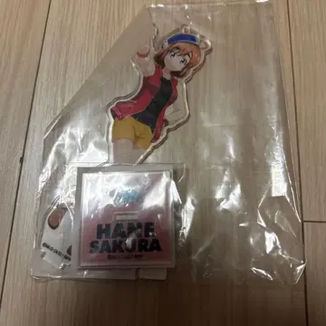 바쿠온!! 하네오토 아크릴 스탠드 미개봉 새상품