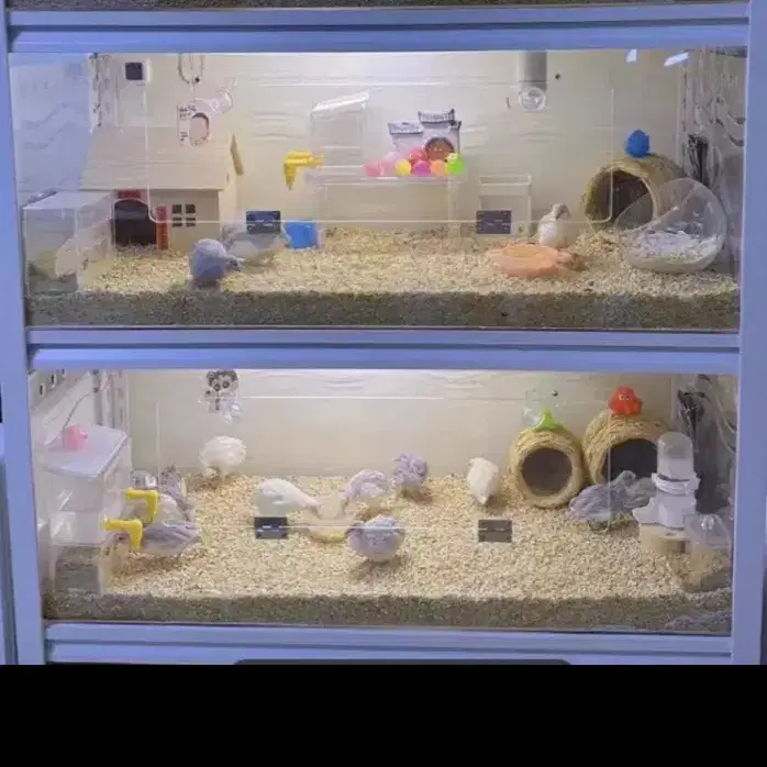 햄스터 케이지 새 상품 120x50