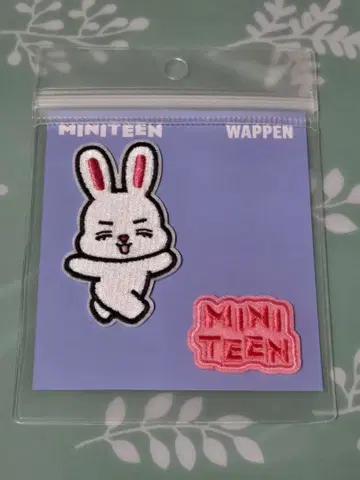 SEVENTEEN MINITEEN 와펜 체리 에스쿱스