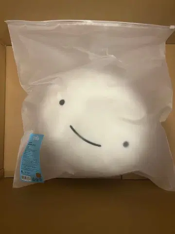 푸네크도 쿠션 WOONBABY 웅아기 운학 BOYNEXTDOOR