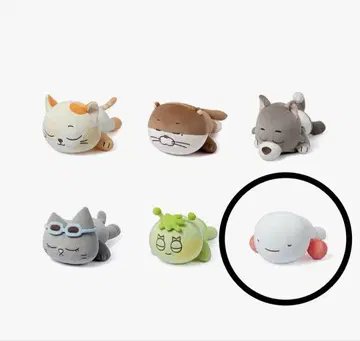 BOYNEXTDOOR BBNEXDO 보넥도 쿠션 운학 운어