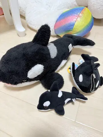 카모가와 씨월드 범고래 봉제 인형