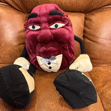 캘리포니아 레이즌 봉제 인형 ot4