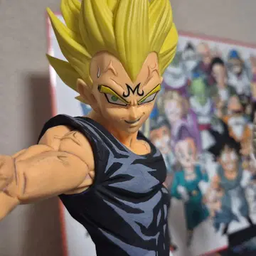 베지터 그란디스타