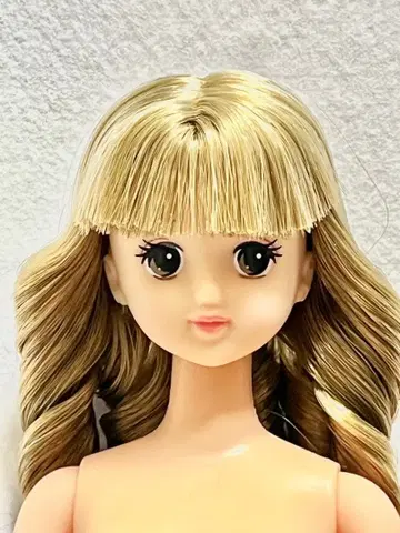 제니 프렌드 T 티모테 오타노시미 인형 리카짱 캐슬