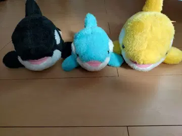봉제 인형 세트 범고래 돌고래 카모가와 씨월드 묶음 판매