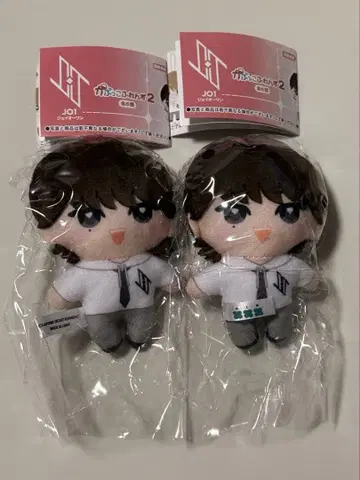 카푸코 프렌즈 2 JO1 코노 준키 2개