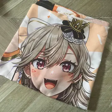 브이스포! 페스티벌 2025 코모리 메토 하피