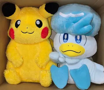 클래식 보아 봉제 인형 피카츄 등신대 쿠와스 피카피카 박스