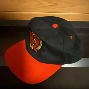 B'z Pleasure '95 BUZZ!! 1995 캡