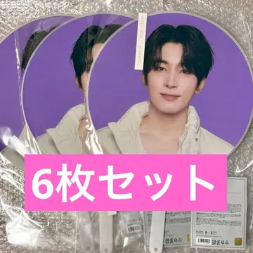 SEVENTEEN FOLLOW AGAIN 부채 원우 6장 세트