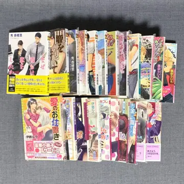 BL 문고 묶음 판매 22권 이고우 루우/슈카 호리/후지모리 치히로/외