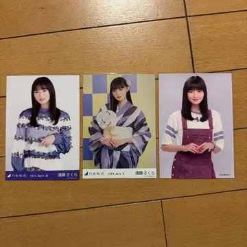 노기자카46 엔도 사쿠라 브로마이드 11장 묶음 판매