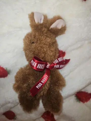 핑크하우스 토끼 코사지 PINKHOUSE