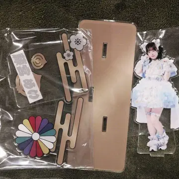 Appare! 후지미야 메이 아크릴 스탠드