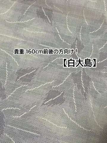 화이트 오시마 오시마 명주 이중 기모노