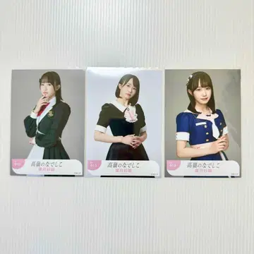 하즈키 사라 Beginning 컴프 타카네노 나데시코 타카네코 브로마이드