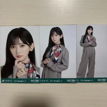 스카프 이케다 에이샤 컴프