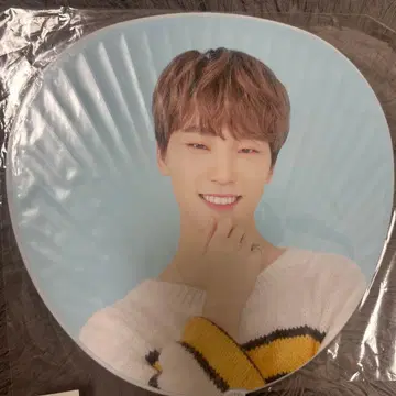 SEVENTEEN 세부치 디노 부채