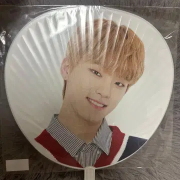 SEVENTEEN 세븐틴 세부치 디노 부채