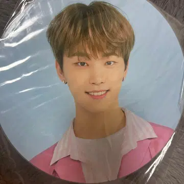 SEVENTEEN 세븐틴 디노 부채