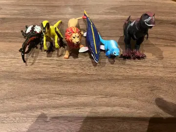 아니아 아니아 킹덤 시리즈 묶음 판매