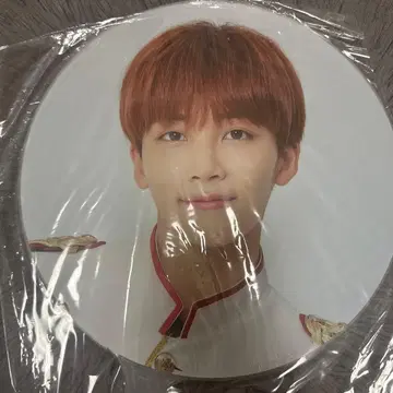 SEVENTEEN 세부치 정한 부채