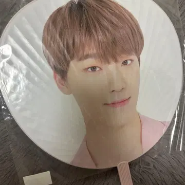 SEVENTEEN 세부치 디노 부채