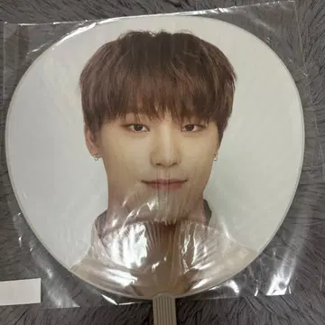 SEVENTEEN 세부치 디노 부채