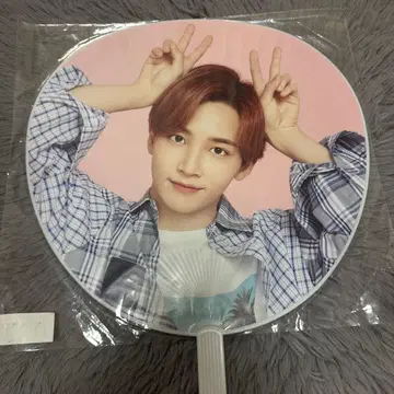 SEVENTEEN 세부치 정한 부채