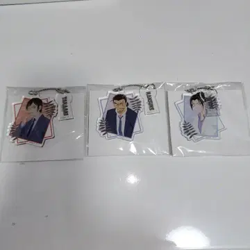 명탐정 코난 페인트라크트 시리즈 아크릴 키링 나가노현경