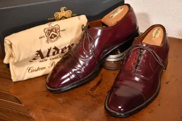 ALDEN #90718 cordovan 7B/D 25cm