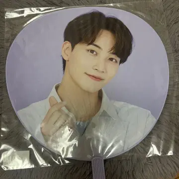 SEVENTEEN 세부치 정한 부채