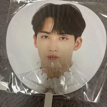 SEVENTEEN 세부치 정한 부채